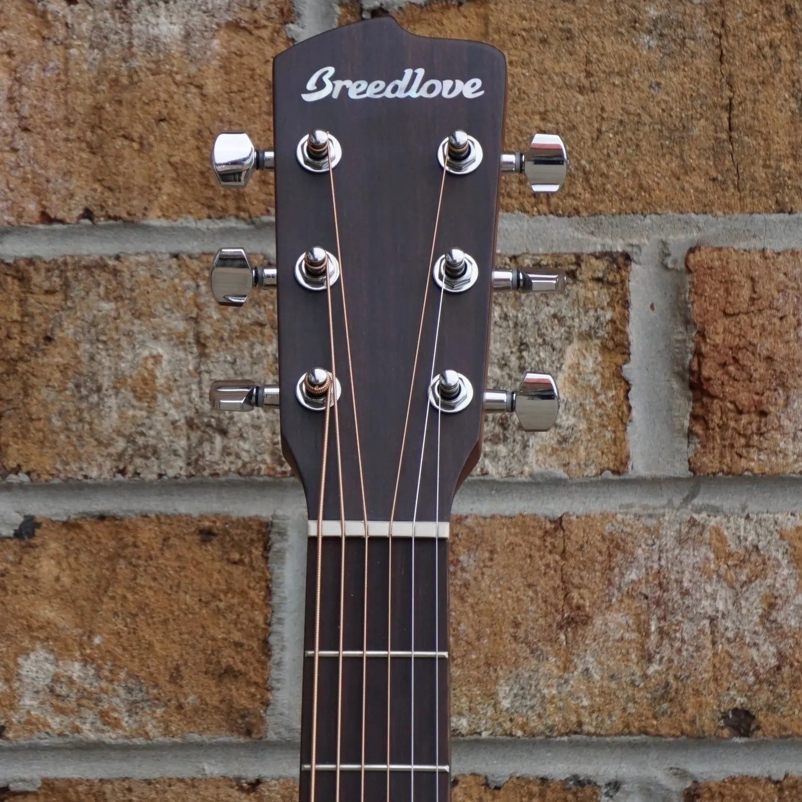 Breedlove Discovery Concerto