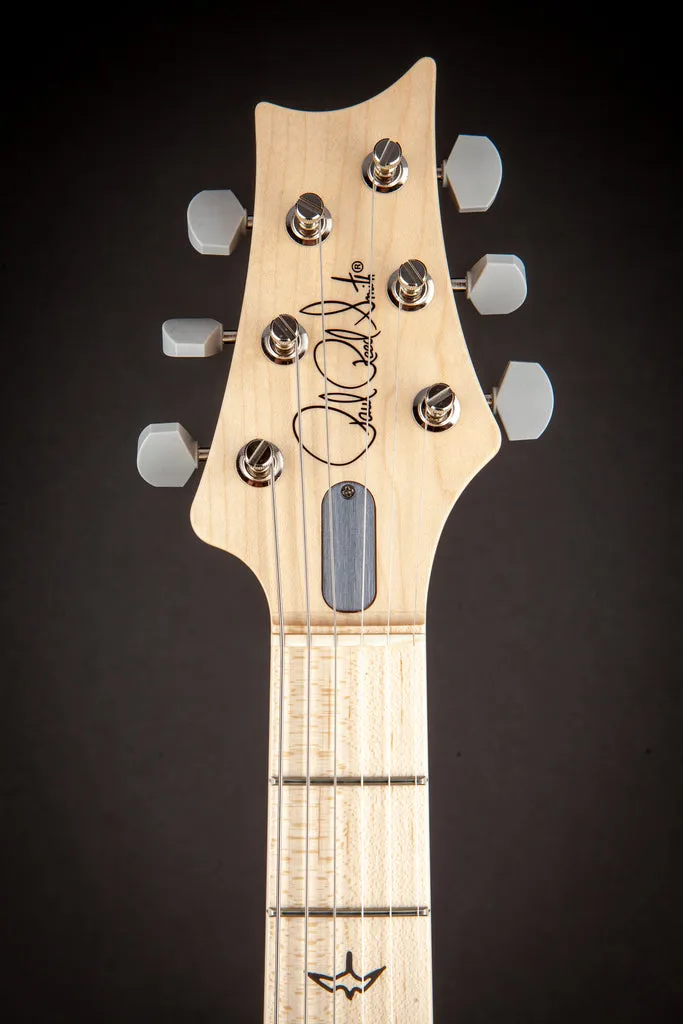 PRS Silver Sky