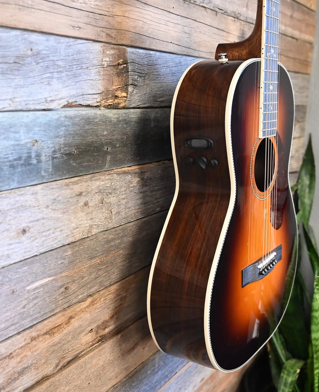 Fender Paramount PM-2 Deluxe