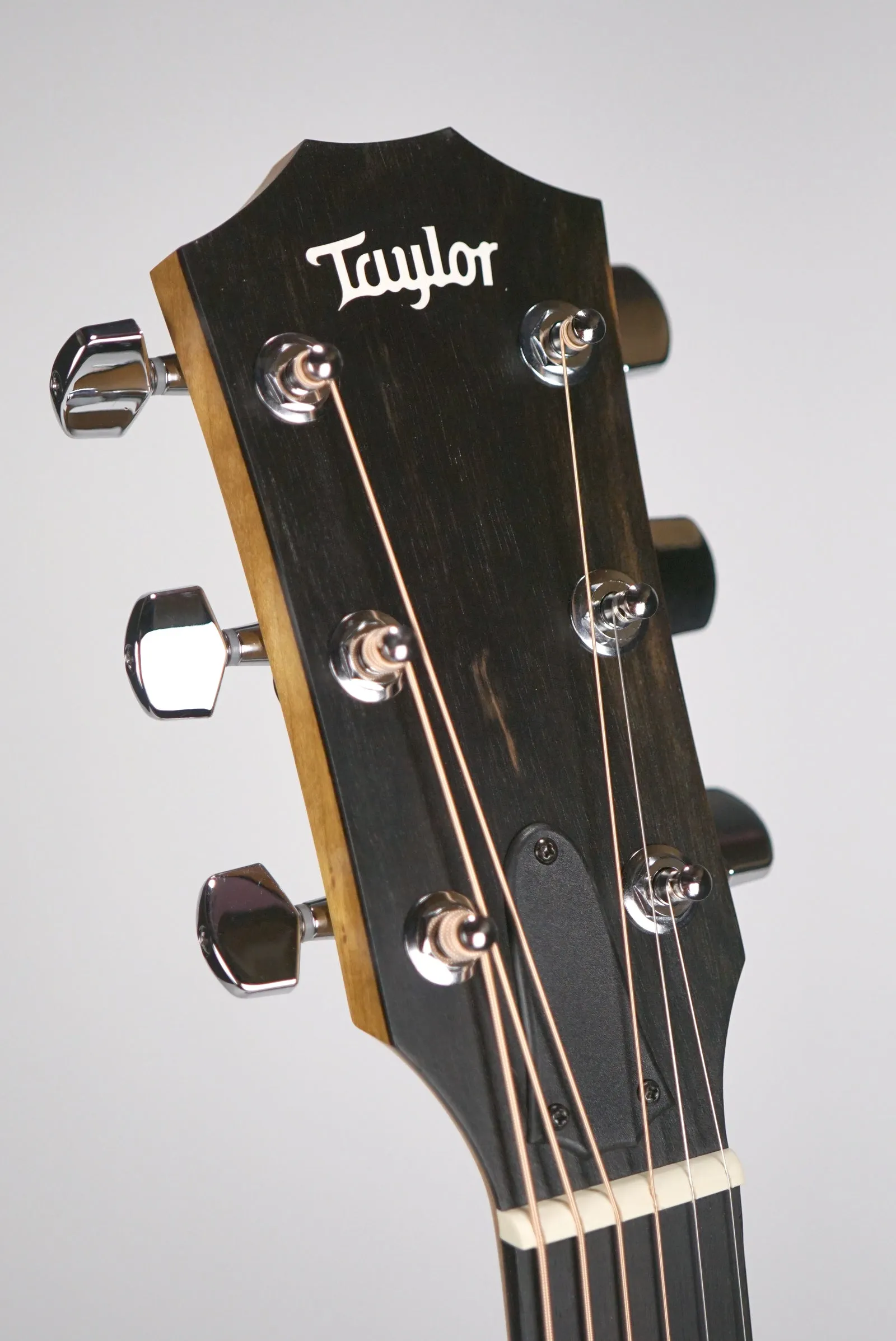 Taylor 110e