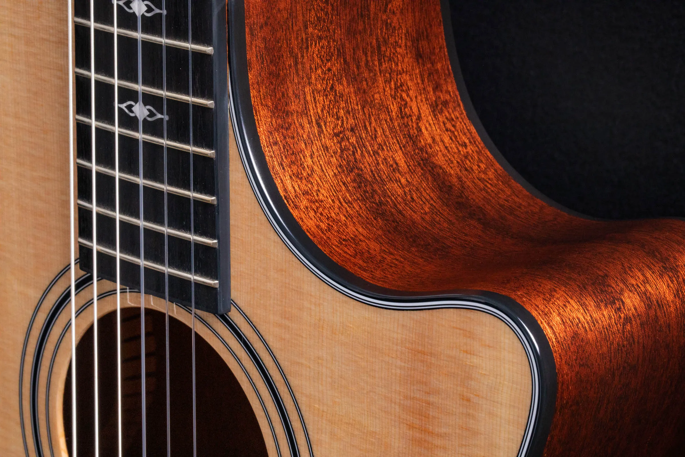 Taylor 314CE-N