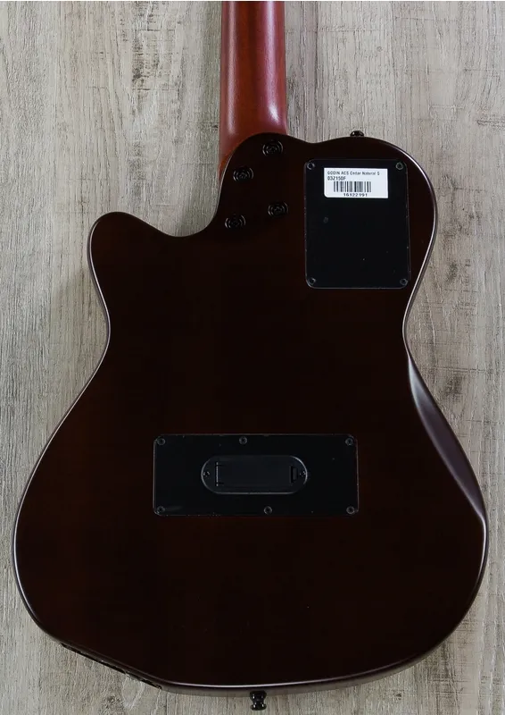 Godin Multiac ACS-SA Nylon USB