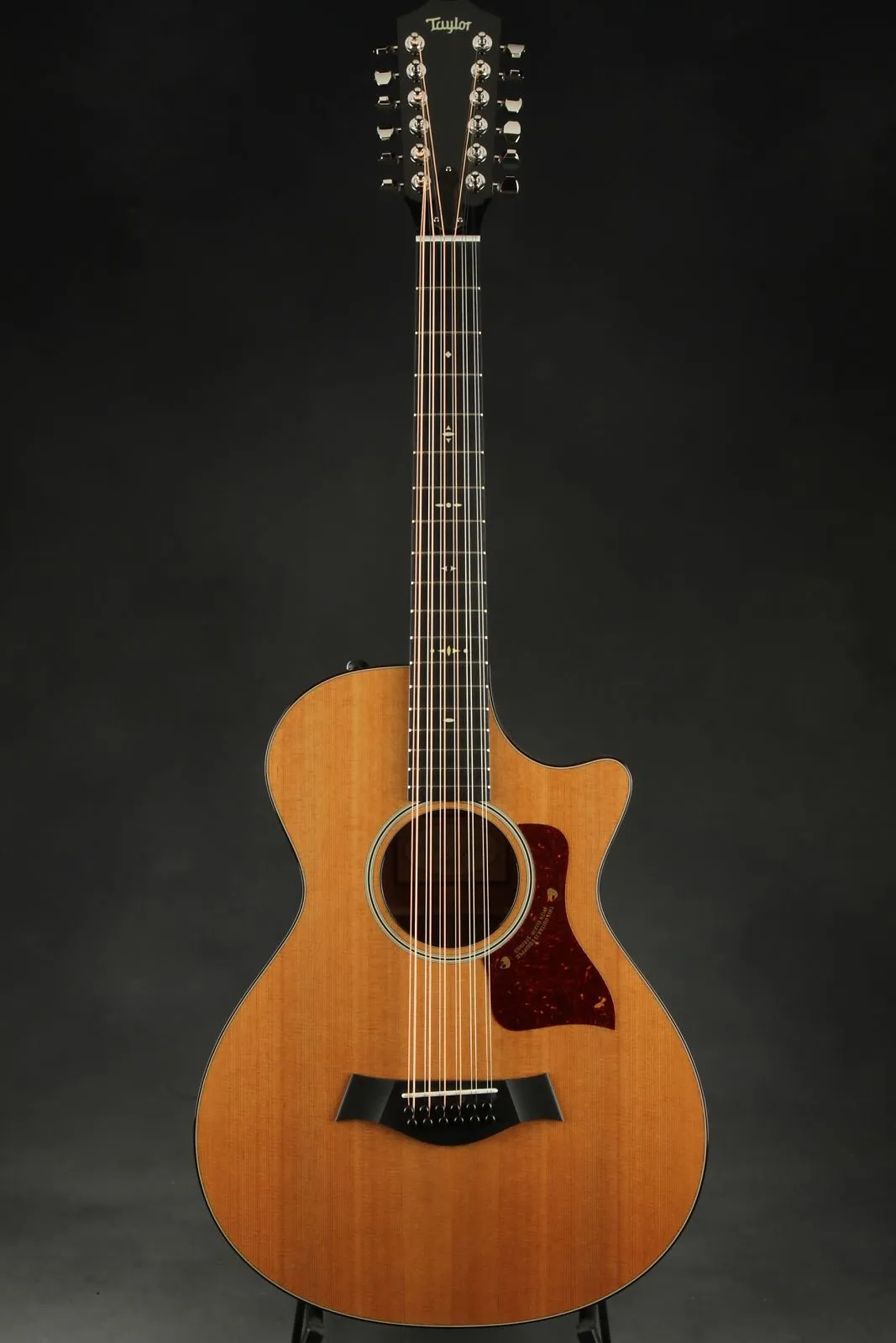 Taylor 858E 12-Fret