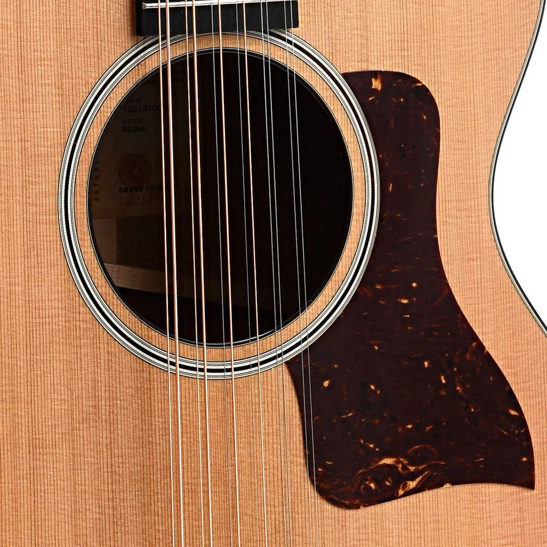 Taylor 858E 12-Fret