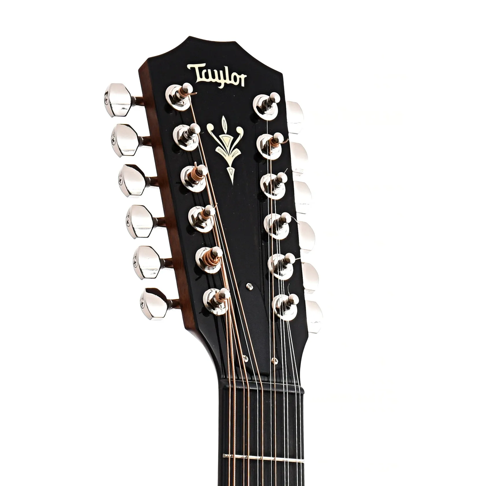 Taylor 858E 12-Fret