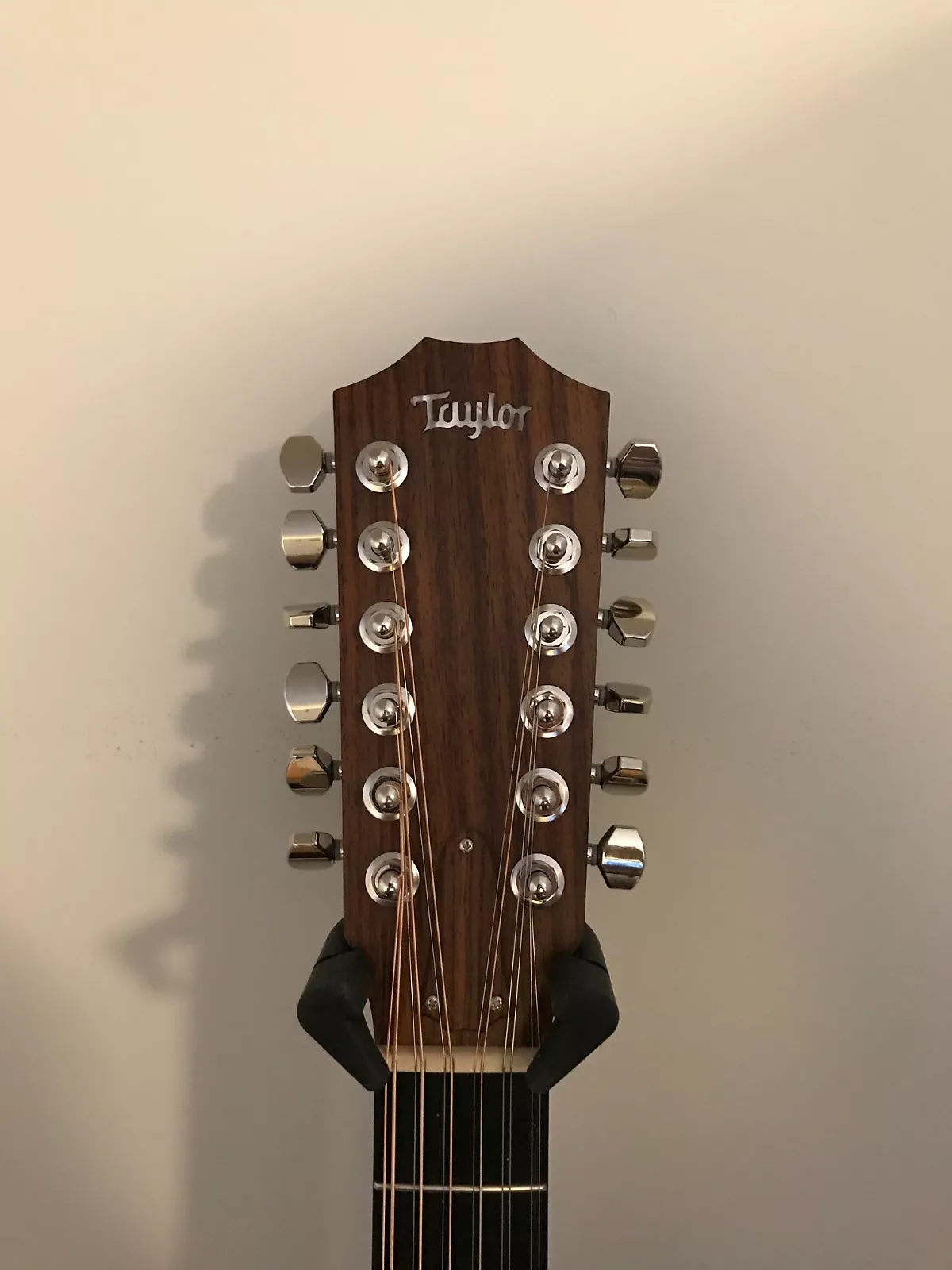 Taylor 360E 12-string