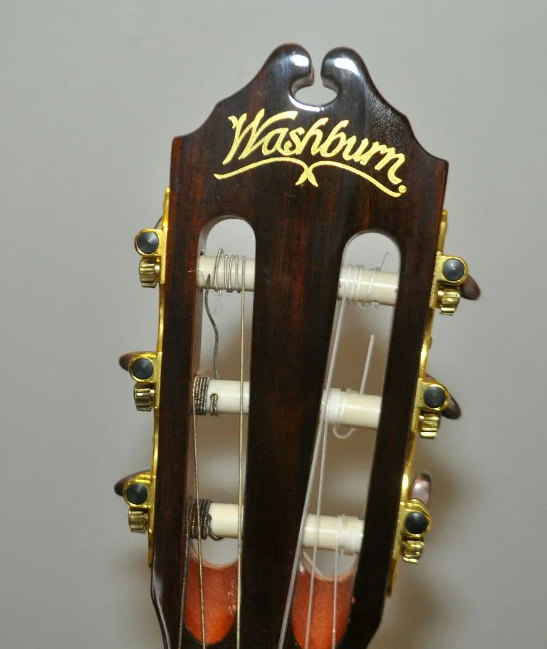 Washburn C80S