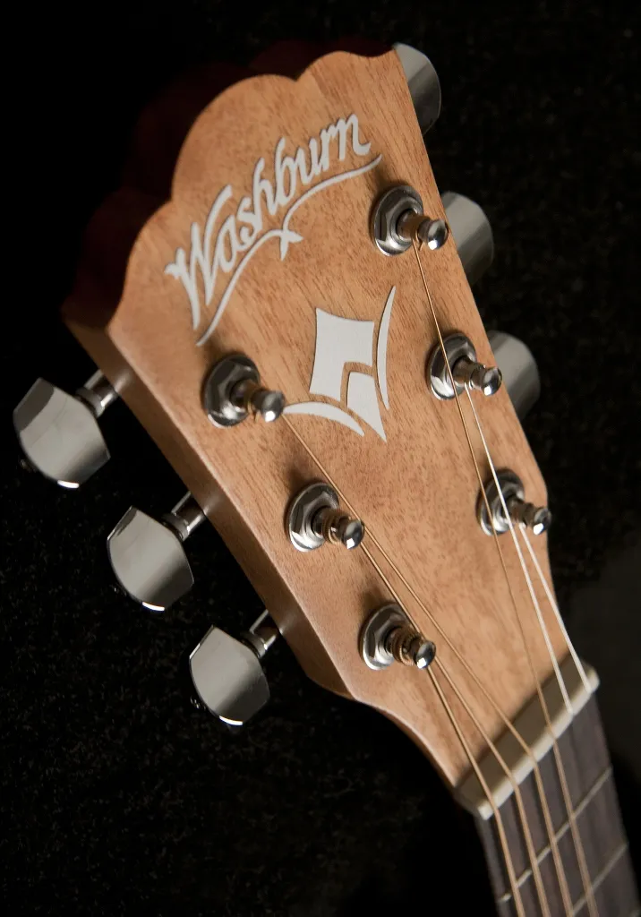 Washburn WD7S