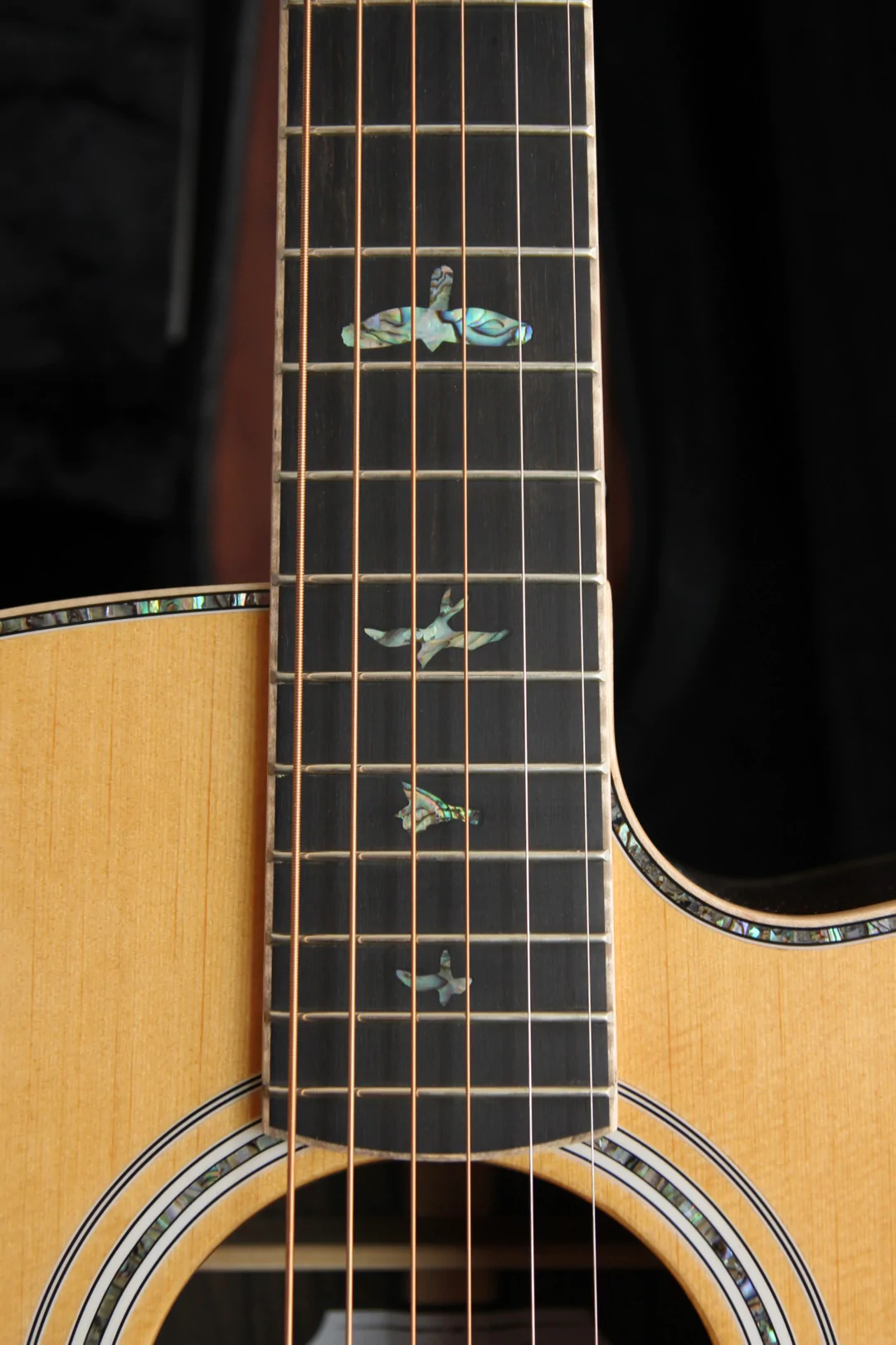 PRS SE Angelus A60E