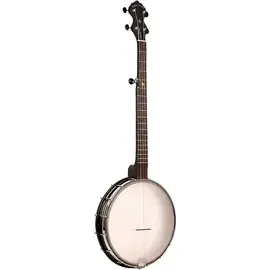 Банджо Gold Tone AC-12 12" 5-String Openback Banjo Matte Black