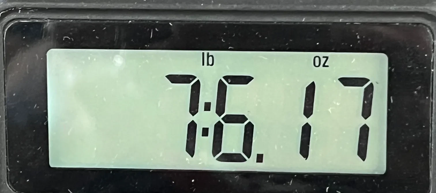 Изображение №3