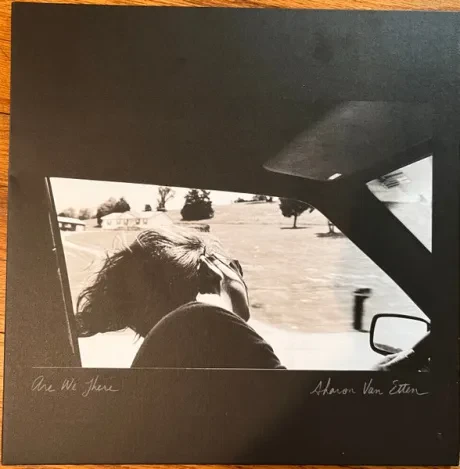 Виниловая пластинка Sharon Van Etten – Are We There