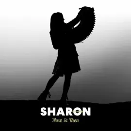 Виниловая пластинка Sharon Shannon - Now & Then: A Retrospective Box Set [New Vinyl LP] Green, 140 G