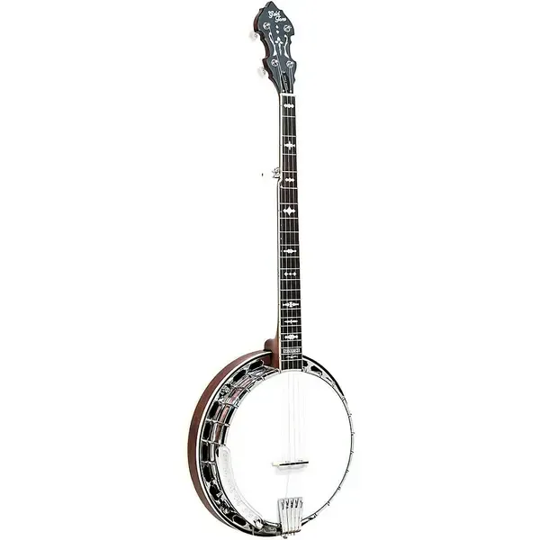 Банджо Gold Tone Professional Bluegrass Banjo Radius Fingerboard Vintage Walnut