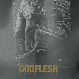 Виниловая пластинка GODFLESH – Pure: Live