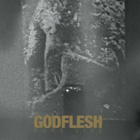 Виниловая пластинка GODFLESH – Pure: Live