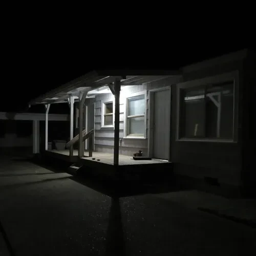 Виниловая пластинка Damien Jurado - Birds Tricked Into The Trees [New 7" Vinyl] Canada - Import