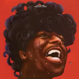 Виниловая пластинка Little Richard – The Second Coming Релиз 2025