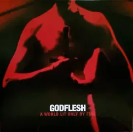 Виниловая пластинка GODFLESH – A World Only Lit By Fire