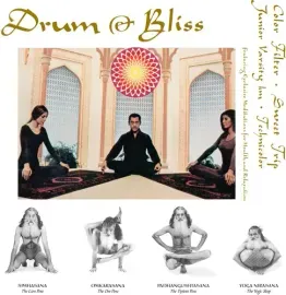 Виниловая пластинка Various Artists - Drum & Bliss (Various Artists) [New 12" Vinyl] Colored Vinyl,