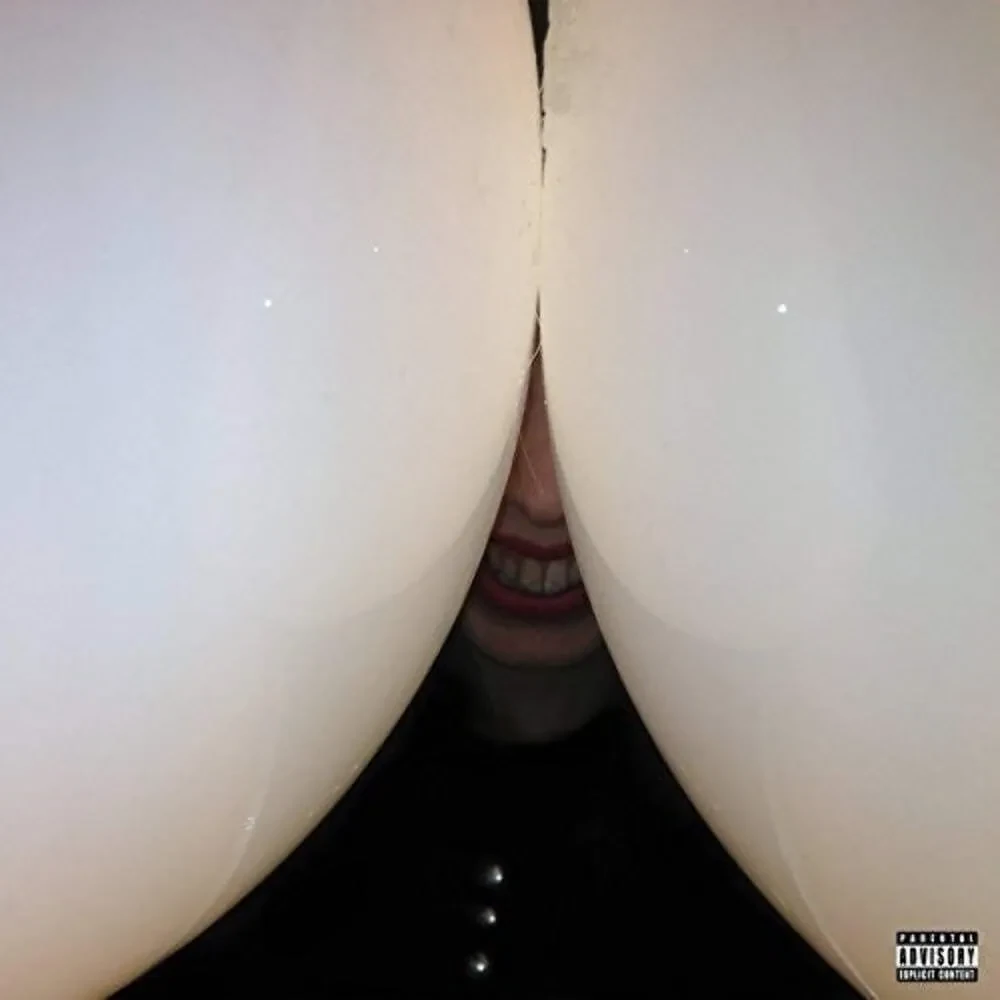 Death Grips - Bottomless Pit NEW Sealed Vinyl LP Album