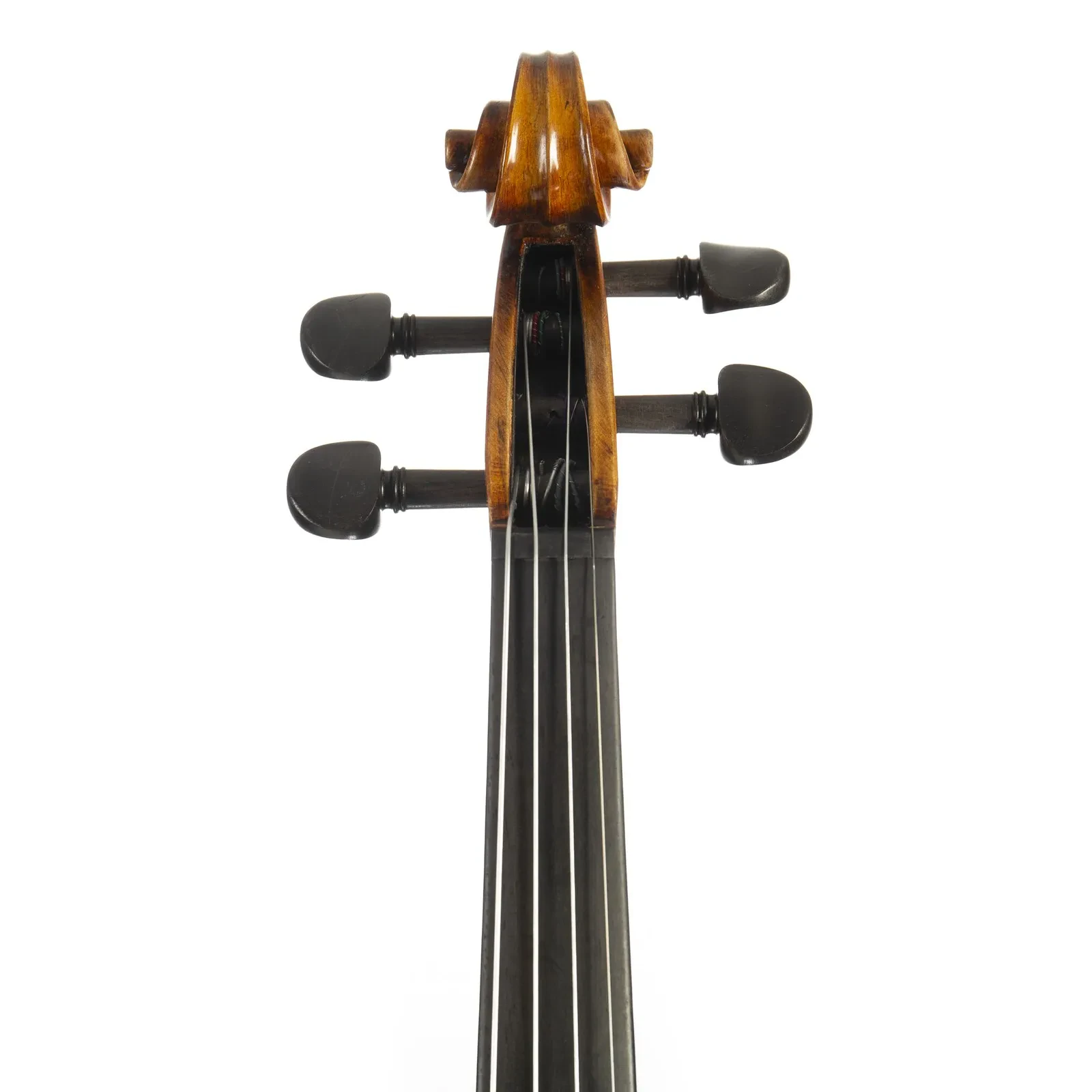 Изображение №5