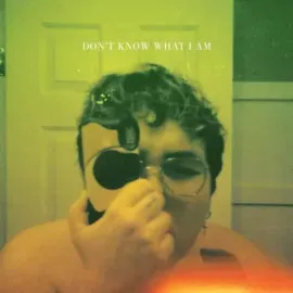 Виниловая пластинка Alien Boy – Don't Know What I Am 2022 Sealed