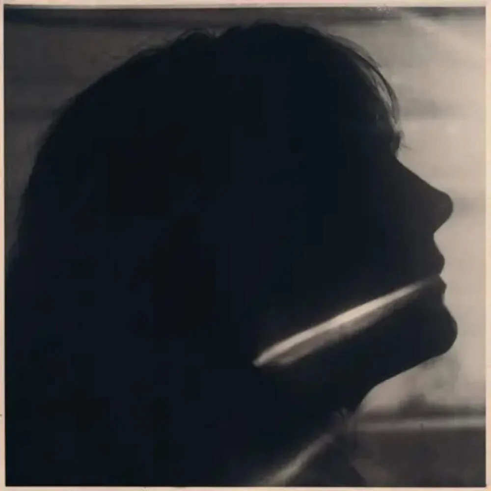 Виниловая пластинка Sarah Blasko – I Just Need To Conquer This Mountain (Релиз 2024)