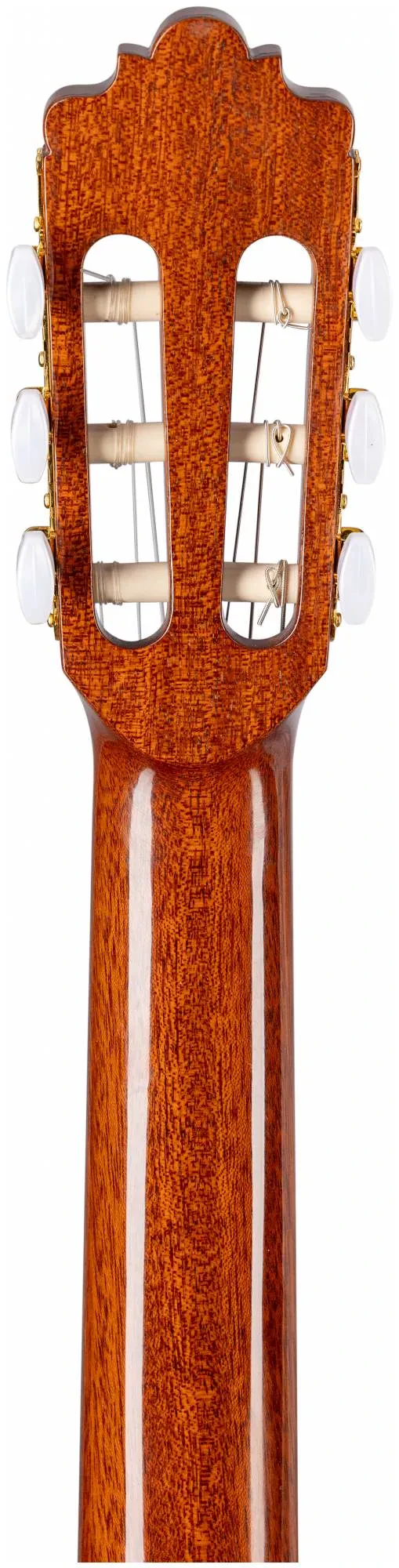 Изображение №4