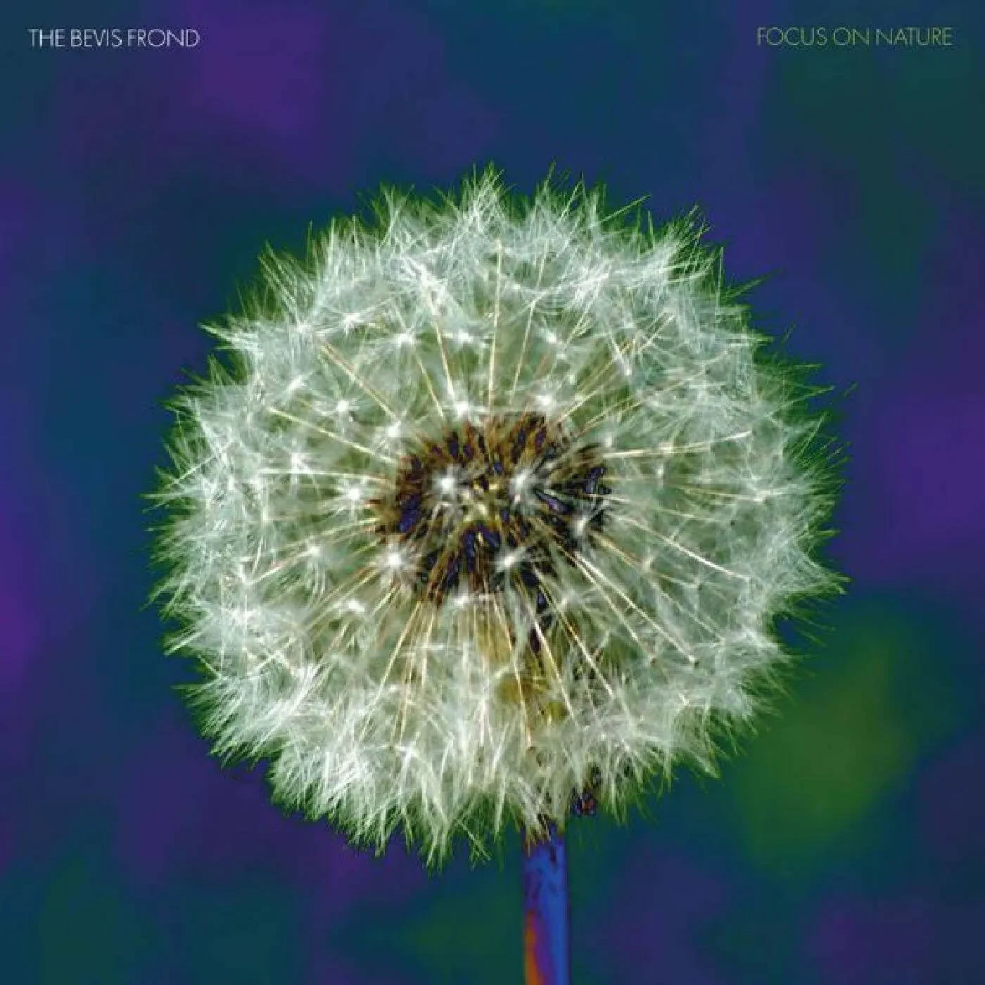 Виниловая пластинка The Bevis Frond – Focus on Nature (Релиз 2024)
