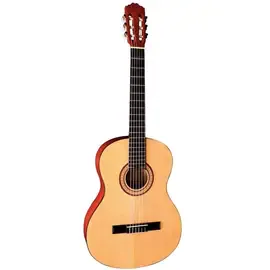 Классическая гитара Tenson Classic Guitar