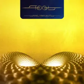 Виниловая пластинка Tool – Fear Inoculum Sealed