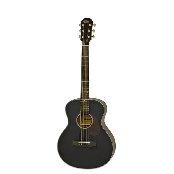 Акустическая гитара Aria 151 MTBK