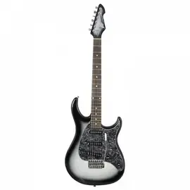 Электрогитара PEAVEY Raptor Custom SLB