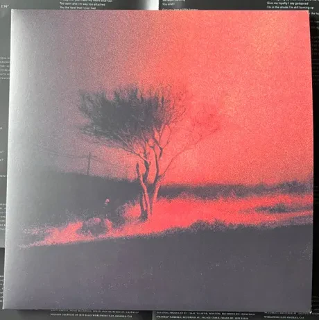 - Piss In The Wind (LP)