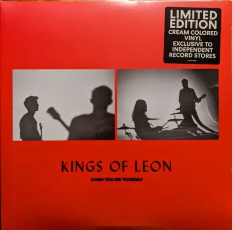 Виниловая пластинка Kings Of Leon – When You See Yourself