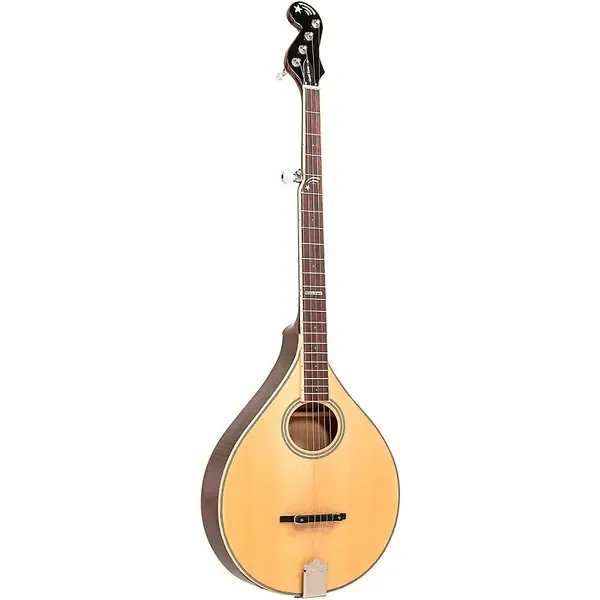 Gold Tone Banjola+ Woodbody Banjo Gloss Natural