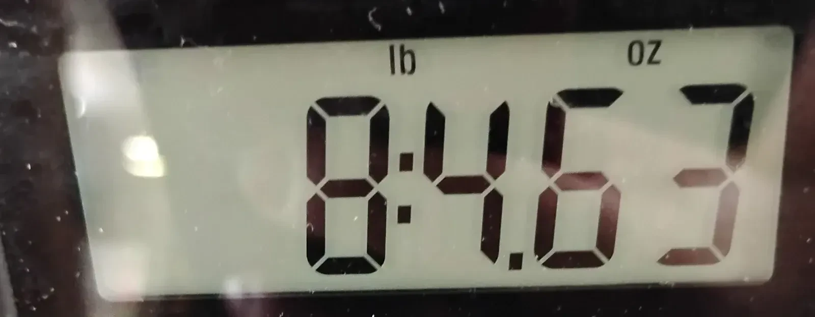 Изображение №8