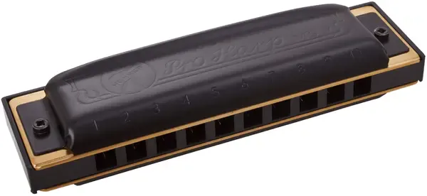 Губная гармошка диатоническая Hohner Pro Harp 562/20 MS A