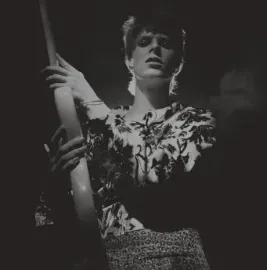 Виниловая пластинка DAVID BOWIE – Rock 'N' Roll Star!