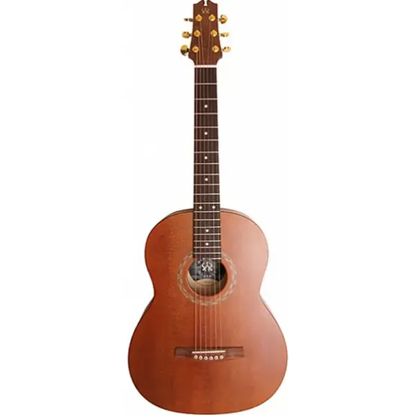 Акустическая гитара NewTone N17GASDB