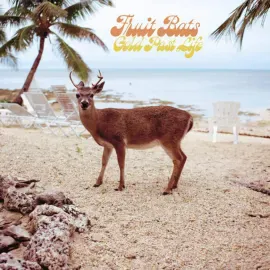 Виниловая пластинка Fruit Bats - Gold Past Life NEW Vinyl