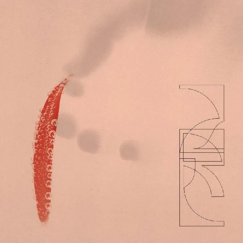 Виниловая пластинка ZRL – Our Savings (Релиз 2021) Sealed