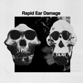 Виниловая пластинка Rapid Ear Damage - R.E.D. [New Vinyl LP]