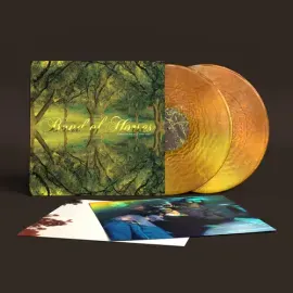 Виниловая пластинка Band of Horses – Everything All the Time (Релиз 2026)