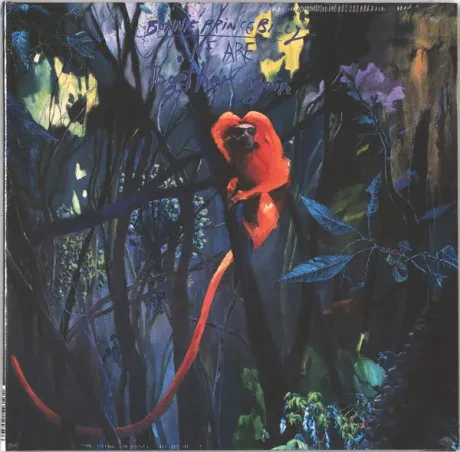 BONNIE "PRINCE" BILLY - We Are Together Again (CD)