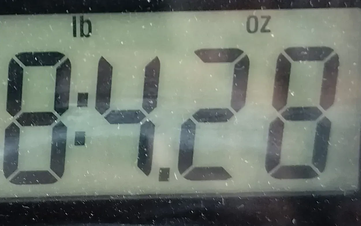 Изображение №2