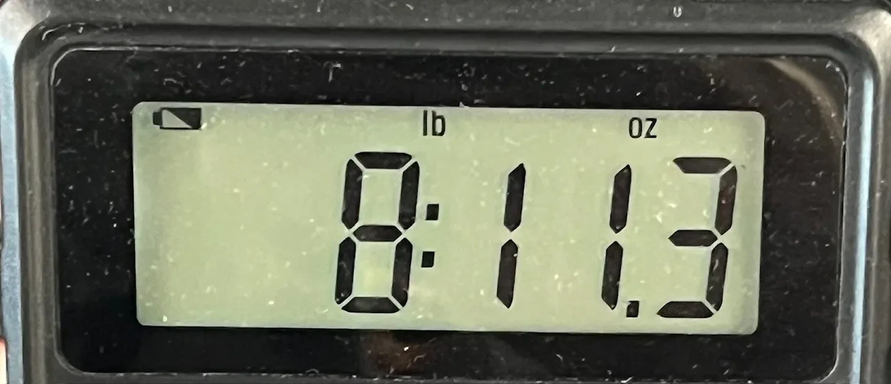 Изображение №8