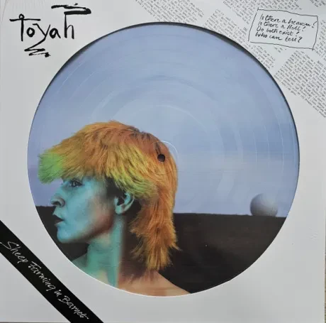 Виниловая пластинка Toyah – Sheep Farming In Barnet