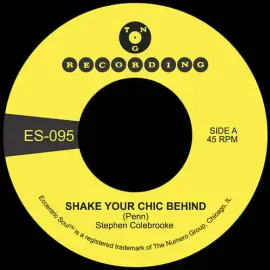 Виниловая пластинка Stephen Colebrooke – Shake Your Chic Behind (Релиз 2024)